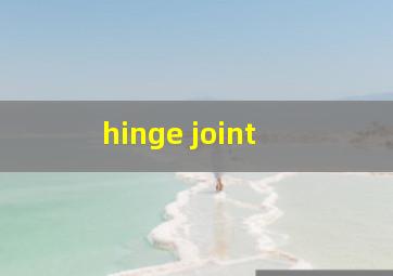  hinge joint